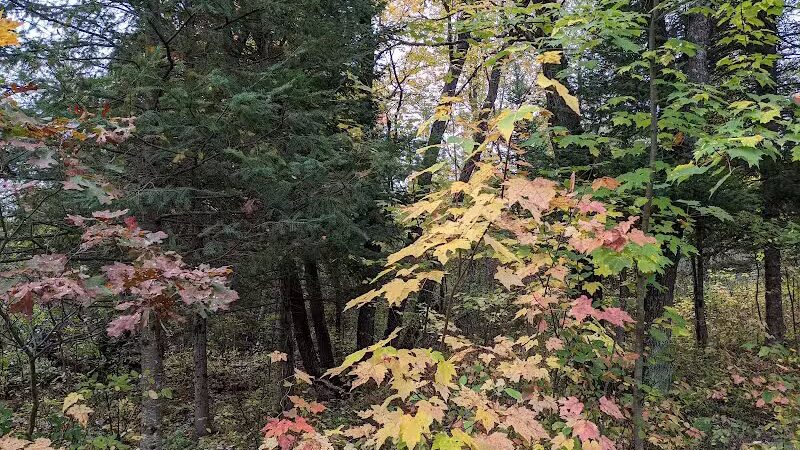 Gabions Campground and Day Use - Curran,