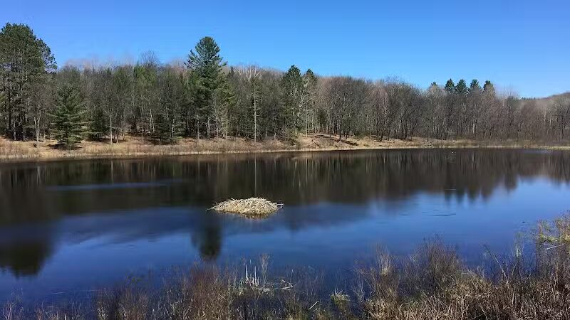 Hoist Lake Foot Travel Area Trailhead - Curran,