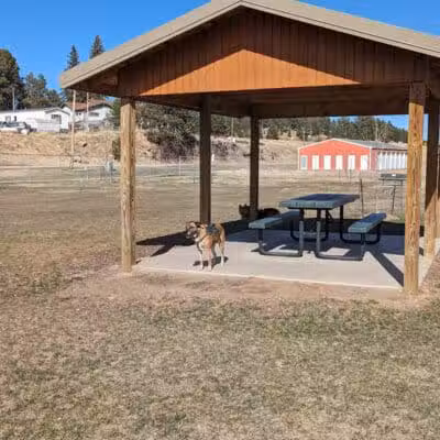 Custer Bark Park - Custer,