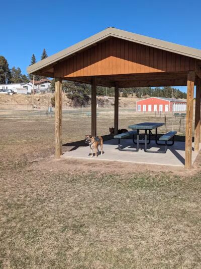 Custer Bark Park - Custer,