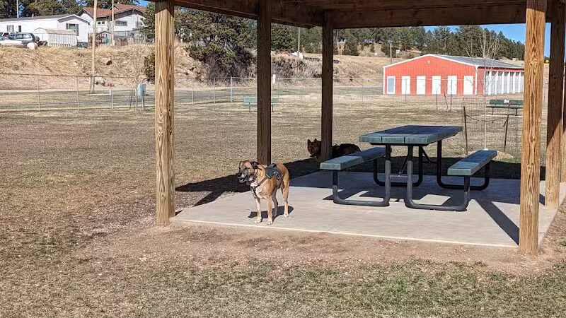 Custer Bark Park - Custer,