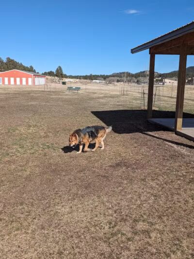 Custer Bark Park - Custer,