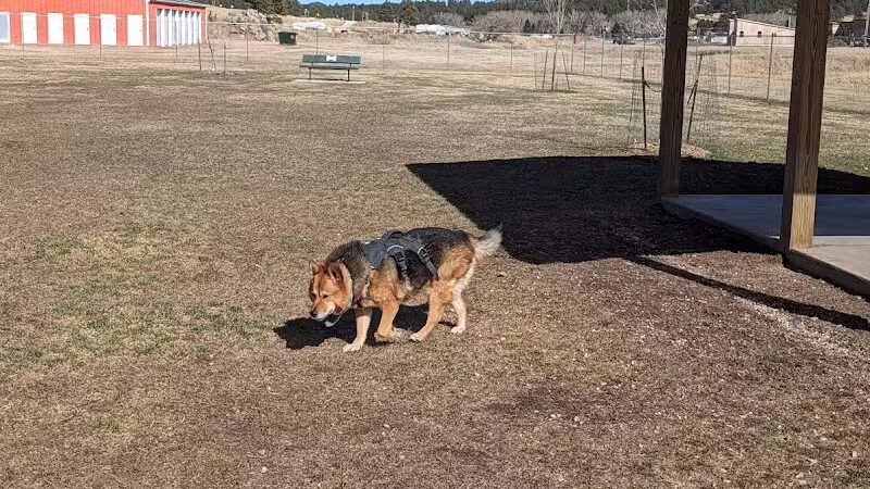 Custer Bark Park - Custer,