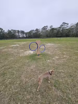 D'Iberville Dog Park - D'Iberville, MS