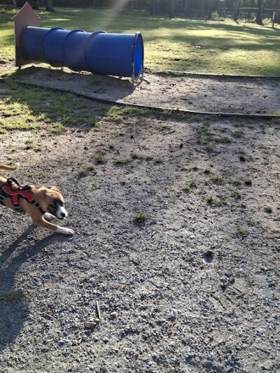 Rabbit Hill Park- Dog Park - Dacula, GA
