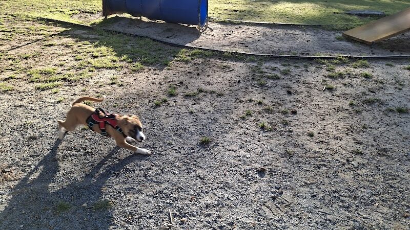 Rabbit Hill Park- Dog Park - Dacula, GA