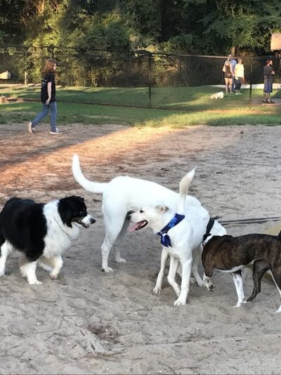 Rabbit Hill Park- Dog Park - Dacula, GA