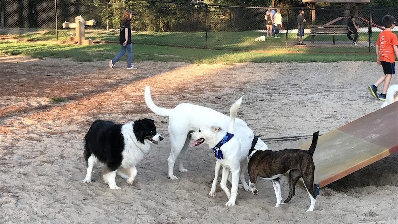 Rabbit Hill Park- Dog Park - Dacula, GA