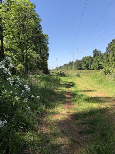 Rabbit Hill Park- Dog Park - Dacula, GA