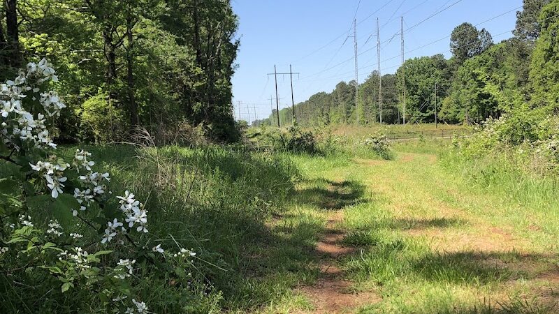 Rabbit Hill Park- Dog Park - Dacula, GA