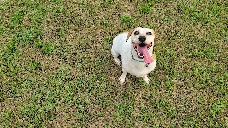 Rabbit Hill Park- Dog Park - Dacula, GA