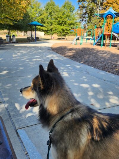 Rabbit Hill Park- Dog Park - Dacula, GA