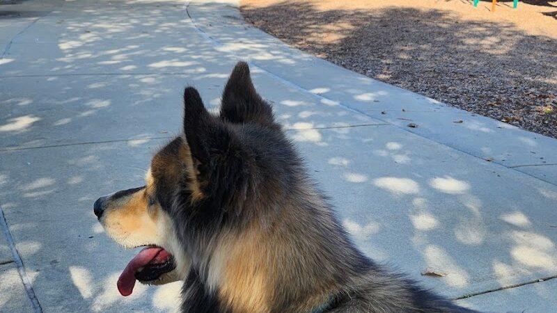 Rabbit Hill Park- Dog Park - Dacula, GA
