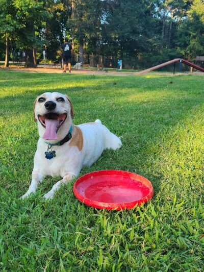 Rabbit Hill Park- Dog Park - Dacula, GA