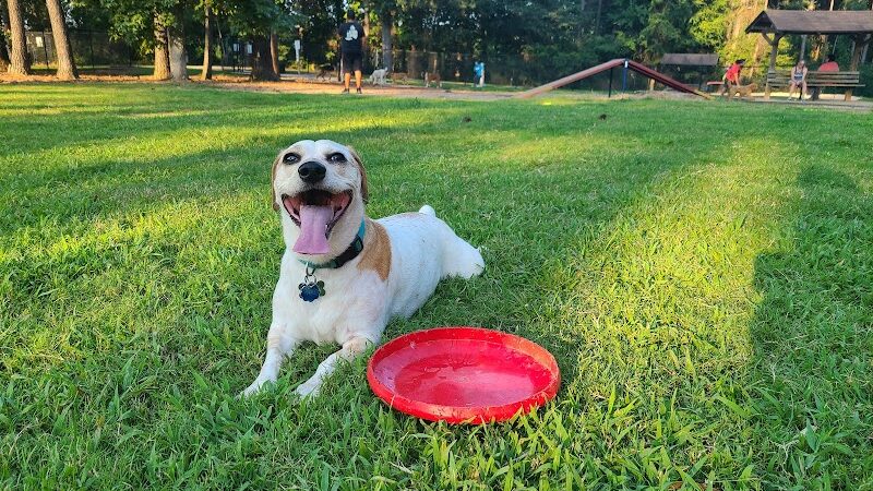 Rabbit Hill Park- Dog Park - Dacula, GA