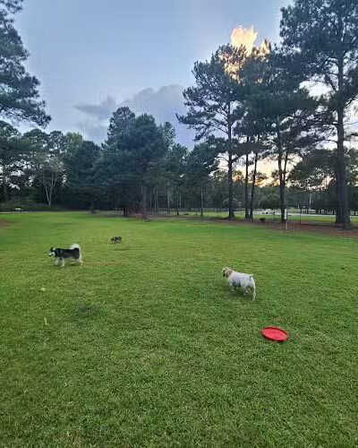 Rabbit Hill Park- Dog Park - Dacula, GA
