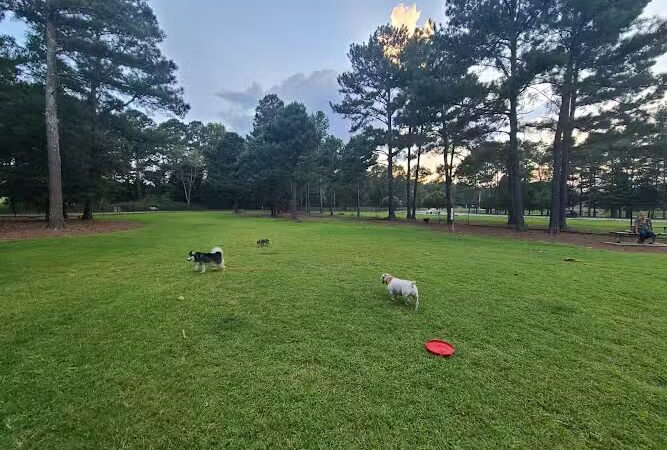 Rabbit Hill Park- Dog Park - Dacula, GA