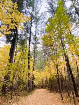 Dalbo Park - Dalbo, MN