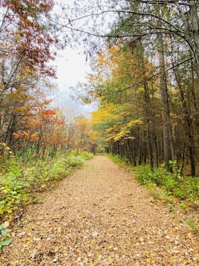 Dalbo Park - Dalbo, MN