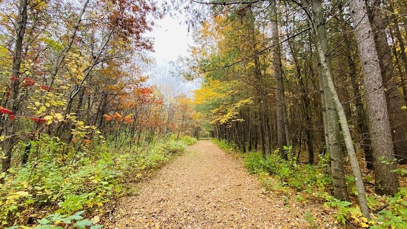 Dalbo Park - Dalbo, MN