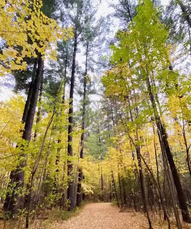 Dalbo Park - Dalbo, MN