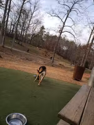 Dallas Dog Park - Dallas, GA