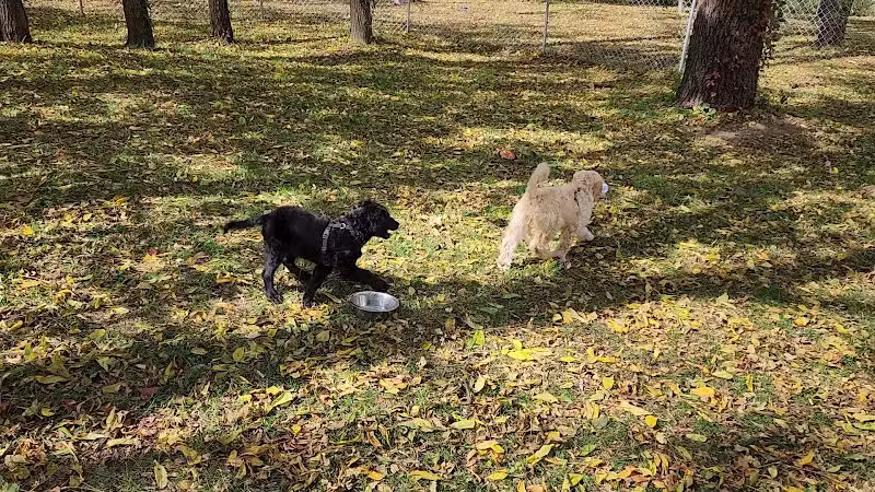 Damascus Dog Park - Damascus, VA