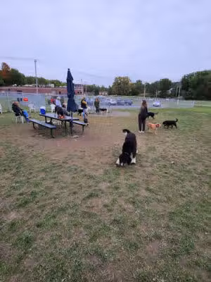 Danbury Dog Park @ Margerie Reservoir - Danbury, CT