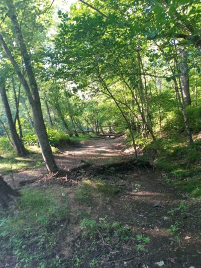 Phaiah's Dog Park - Danielson, CT