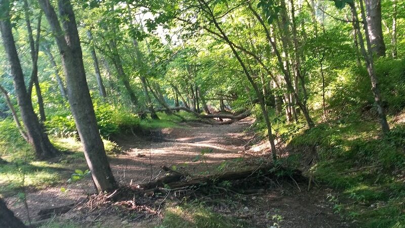 Phaiah's Dog Park - Danielson, CT