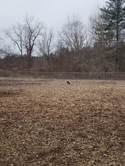 Phaiah's Dog Park - Danielson, CT