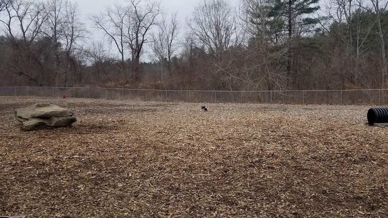Phaiah's Dog Park - Danielson, CT