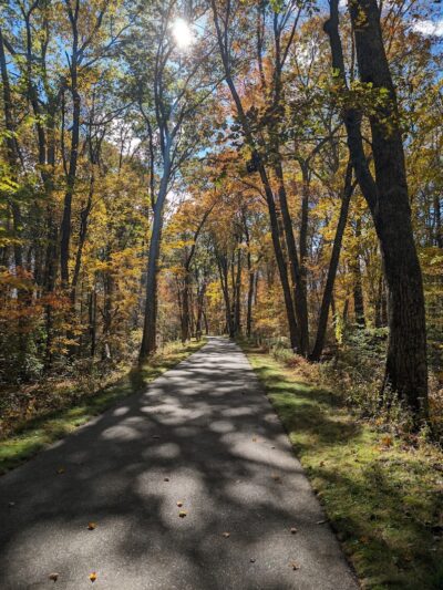 Phaiah's Dog Park - Danielson, CT