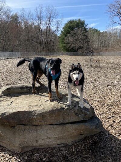 Phaiah's Dog Park - Danielson, CT