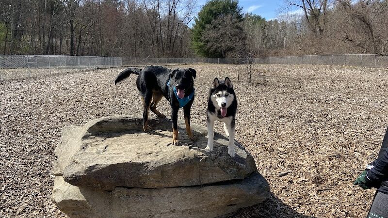 Phaiah's Dog Park - Danielson, CT