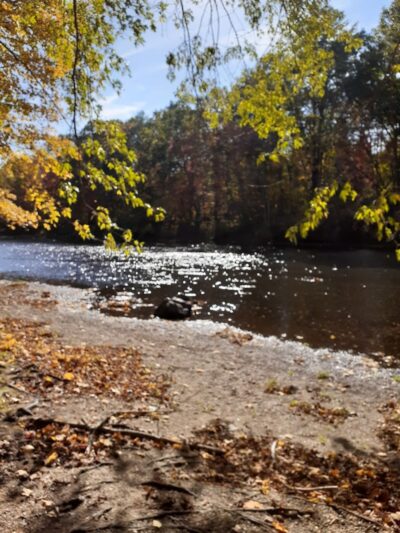 Phaiah's Dog Park - Danielson, CT