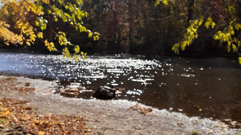 Phaiah's Dog Park - Danielson, CT