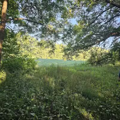 7 Gables Road Natural Area - Dansville,