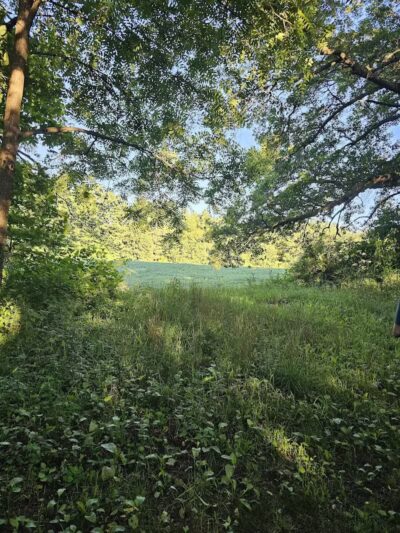 7 Gables Road Natural Area - Dansville,