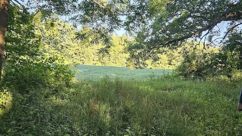 7 Gables Road Natural Area - Dansville,