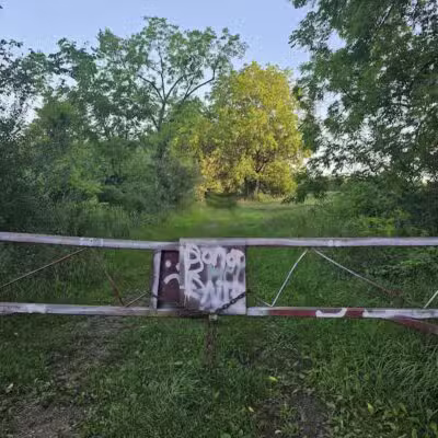 7 Gables Road Natural Area - Dansville,