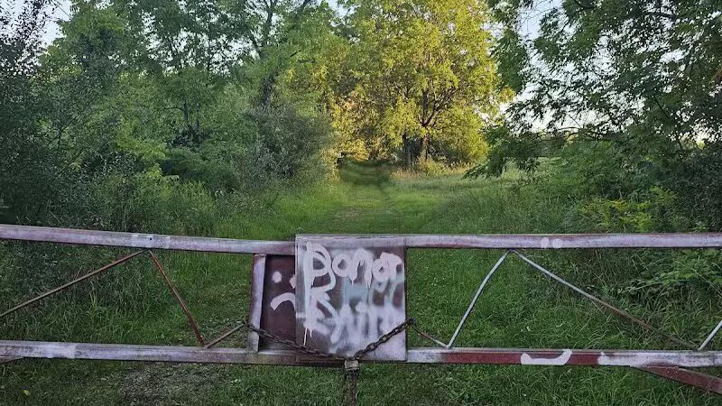 7 Gables Road Natural Area - Dansville,