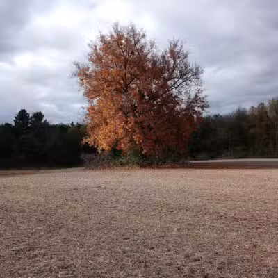 7 Gables Road Natural Area - Dansville,