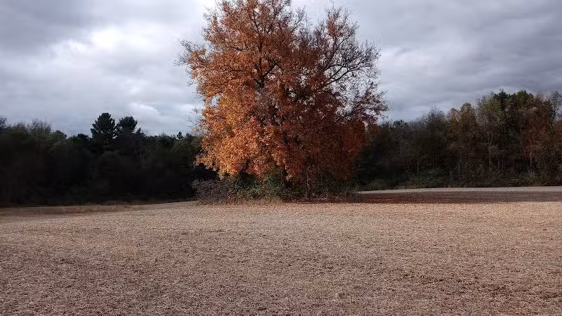 7 Gables Road Natural Area - Dansville,
