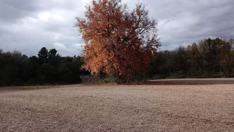 7 Gables Road Natural Area - Dansville,