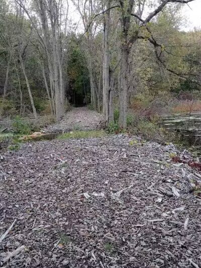 7 Gables Road Natural Area - Dansville,