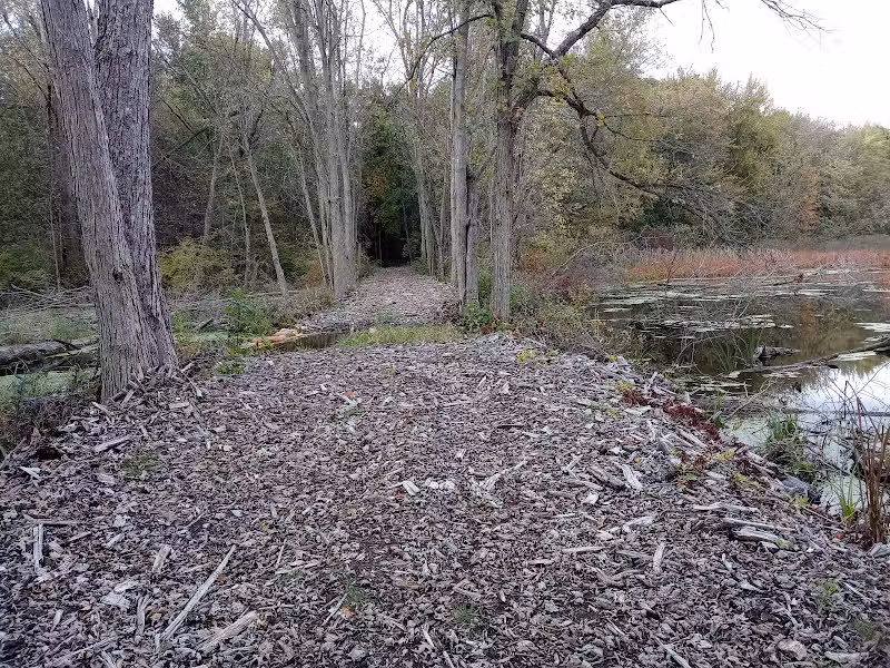 7 Gables Road Natural Area - Dansville,