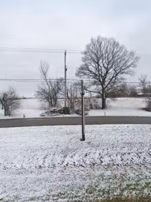 Electric Park - Dansville,