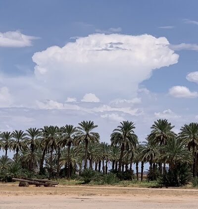 Dateland RV Park - Dateland, AZ