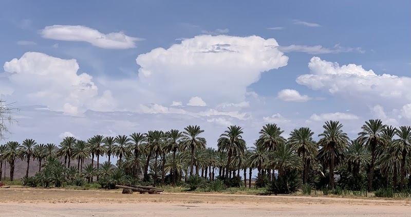 Dateland RV Park - Dateland, AZ